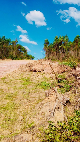 Imagem 24 de 29 de 06-terreno A Venda Com 1000m No Interior !!!