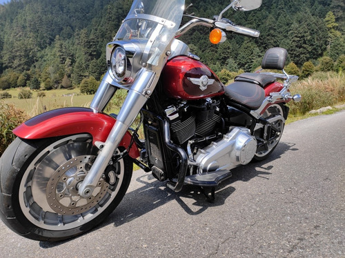 Imagen 9 de 15 de Harley Davidson Fat Boy