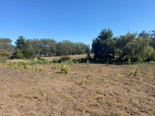 Parcela En Arauco A Pasos De Extensa Playa (92707)