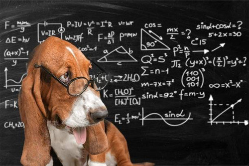 Matemática - Física - Cálculo - Álgebra - Estadística