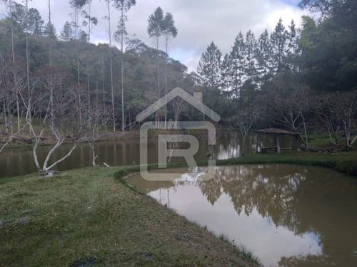 Imagem 22 de 30 de Itio Ideal Para O Seu Lazer Tendo 3 Lagos Piscosos Com Peixe, 02 Nascentes Próprias, Pomar, Horta. - 77 - 70066608