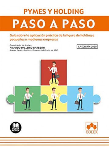 Libro Pymes Y Holding. Paso A Paso