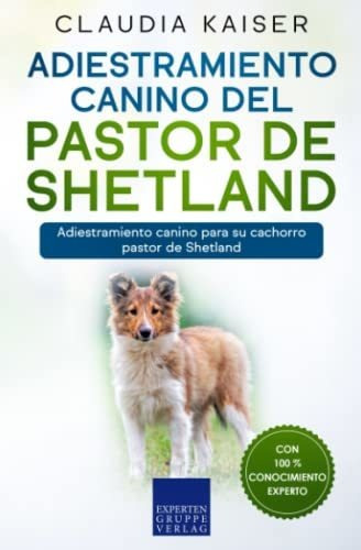 Adiestramiento Canino Del Pastor De Shetland: Adiestramiento