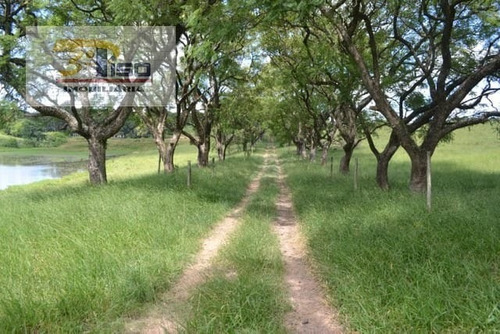 Imagem 7 de 12 de Fazenda Em Centro Sorocaba - Sorocaba - 2171