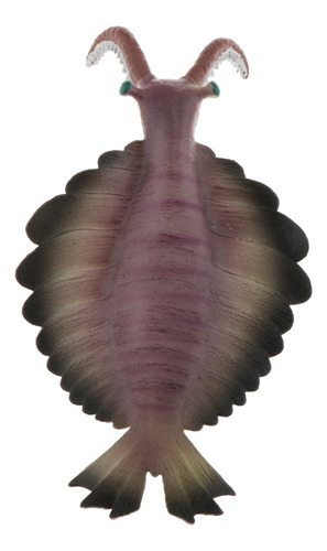 Juguetes Realistas De Animales Marinos Anomalocaris