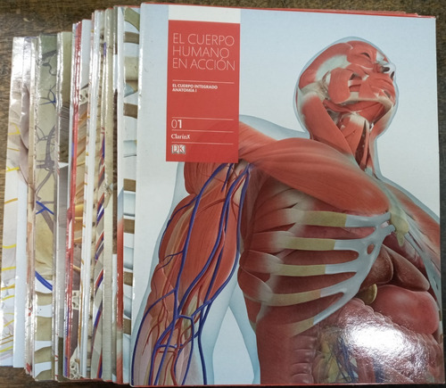 Imagen 9 de 10 de El Cuerpo Humano En Accion * 28 Tomos * Completo * Dk *