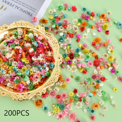 200 Unidades De Cabezas De Flores Secas, Flores Secas Reales