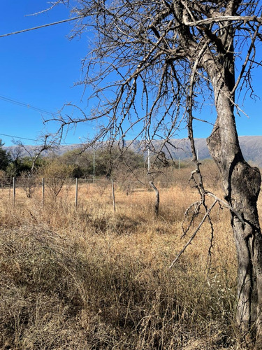 Dos Lotes En Venta, Juntos O Separados, Los Molles, San Luis