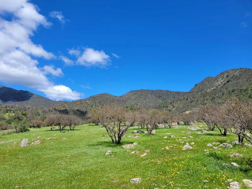 Oportunidad! Terreno Ideal Para Inversión (168915)