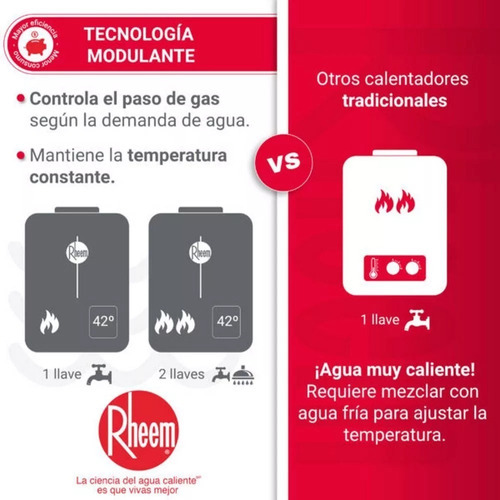 Calentador De Agua 10lt Gas Natural Tiro Forzado Dig Rheem Voltaje 120v Color Blanco Tipo De Gas Gn