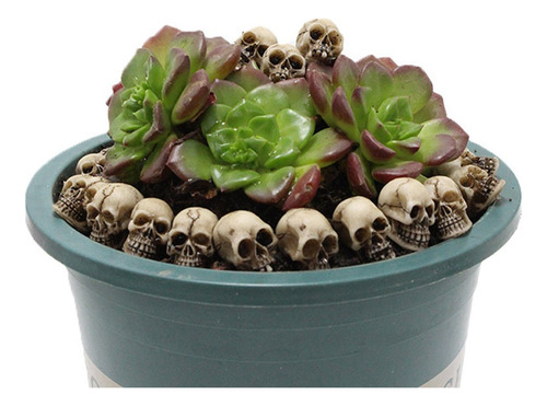 40 Piezas De Calaveras Humanas, Calaveras De Esqueleto Reali