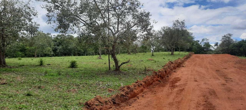 Imagem 12 de 14 de L20- Terrenos Com Topografia Plaina Lotes Maravilhosos