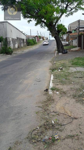 Imagem 4 de 10 de Terreno Na Santa Cecilia- Viamão Rs - Te0126