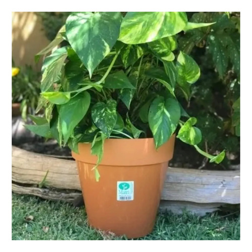 Maceta Matri Linea Josephine 24 Para Plantas-diseño Elegante Barro Josephine