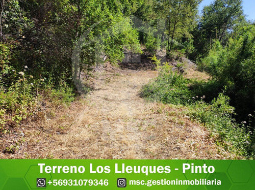 Terreno Los Lleuques - Pinto