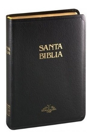 Rv 1909 Biblia Clásica Con Referencia, Negro Imitación Piel