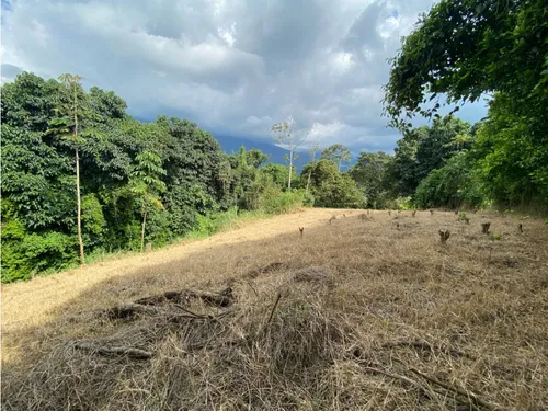Lote En Venta Calarca- Vereda La Bella