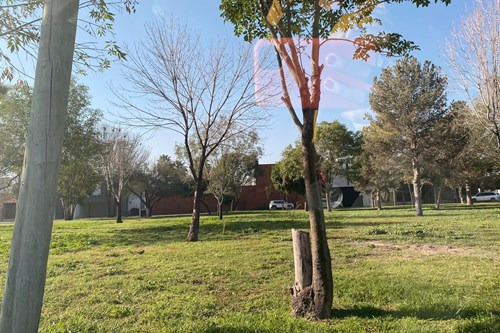 Construye Tu Hogar En La Zona Dorada De Torreón, El Fresno.