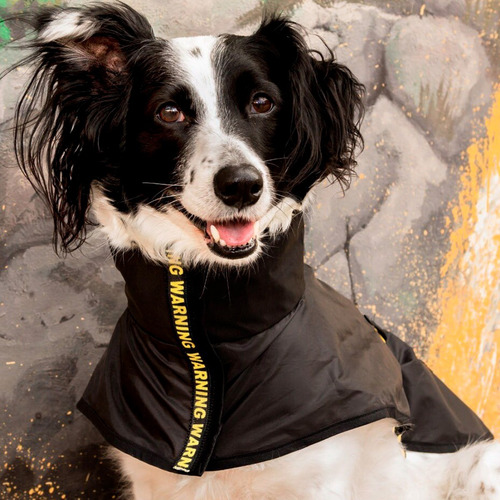 Piloto Tipo Capa Impermeable Perro. Cuadros. Lluvia. Grandes