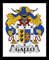 Comprar Gallo 1 Chaveiro + 1 Boton + 1 Quadro A4 Brasão Família 