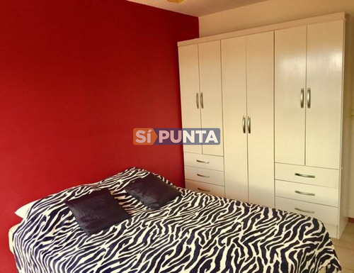 Imagen 5 de 8 de Apartamento En Alquiler Anual Y Venta