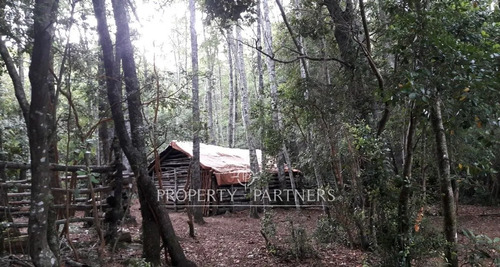 Campo De 372 Hectáreas Con Río En Precordillera