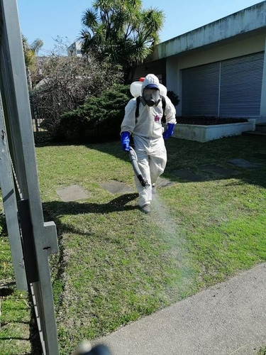 Imagen 3 de 5 de Fumigaciones, Control De Plagas Y Control De Picudo Rojo