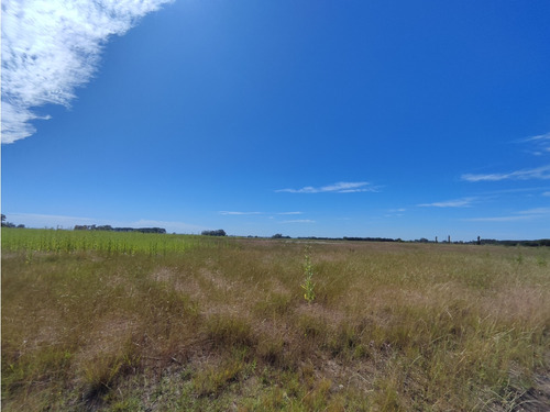 29,4 Hectareas En Cucullu San Andres De Giles