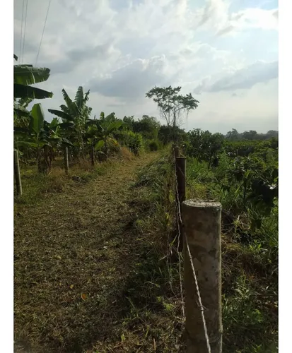 Venta Finca Circasia Via Armenia - 14 Cuadras