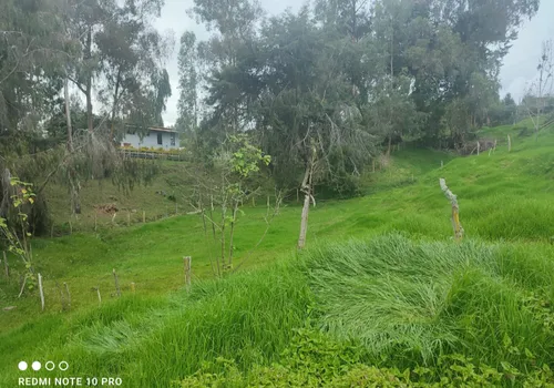 Lotes De 1.600 Metros Cuadrados