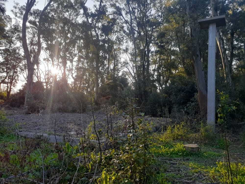 Lote Sobre Ruta 11 En Sarandi Proyecto Cabaña Financio