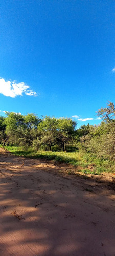 Terrenos En Cabildo-jujuy-catamarca-saavedra, Toay