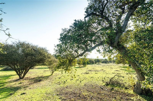 Imagen 14 de 28 de Agrícola En Venta En Zapallar