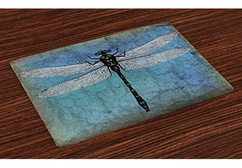 Ambesonne Dragonfly Place Mats Conjunto De 4 Grunge Vintage