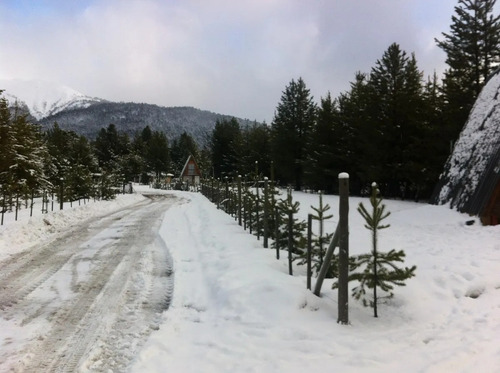 Imagen 9 de 9 de Ruta 11, Moquehue, Villa Pehuenia Neuquen
