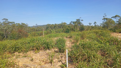 Imagem 18 de 25 de 01- Terrenos Em Condomínio Na Divisa De Suzano E Mogi Das Cruzes Com Procedência !