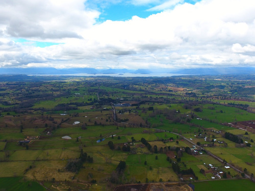 Parcela 5000 M2 Lago Ranco