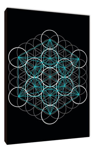 Cuadros Poster Cubo De Metatron M 20x29 (dme (4)