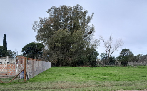 Terreno 655m2- Oportunidad Unica, Carmen De Areco
