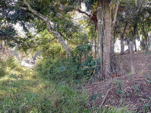Imagem 3 de 9 de Mairiporã Sp Terreno 256 M² Doc Ok Aceita Veículos