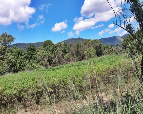 Imagem 16 de 18 de Terreno Em Santa Cândida - 200 - 34209886
