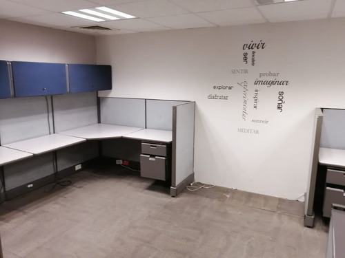 Imagen 4 de 8 de Oficinas En Lomas De Chapultepec Desde 150 M2.