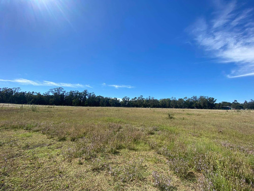 Imagen 11 de 14 de Latorre Prop. Vende Una Hectarea En La Zona De Parque Camet