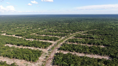 Imagen 8 de 8 de Terreno Residencial En Venta En Chicxulub