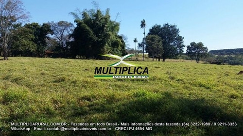 Imagem 10 de 15 de Fazenda Uberlândia Mg Para Pecuária Ou Soja, Milho 82,03 Hectares - 358
