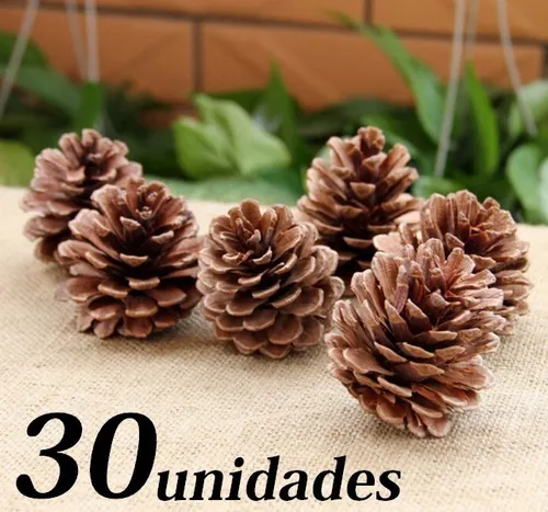 30 Pinhas Natural Arvore De Pinos Decoração Artesanato Natal 30 Pinhas Natural Arvore De Pinos Decoração Artesanato Natal