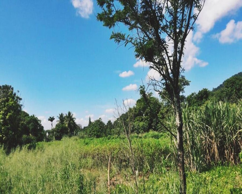Imagem 18 de 18 de Terreno Em Santa Cândida - 200 - 34209886