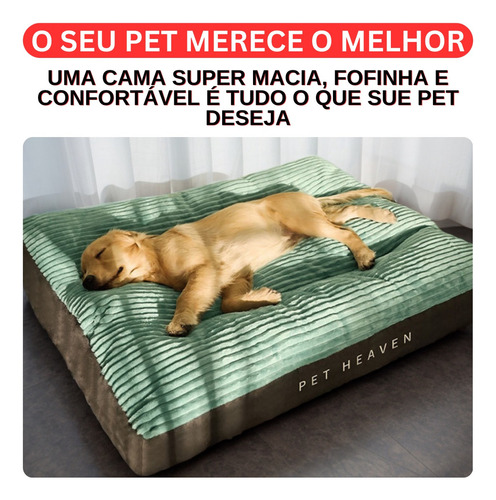 Caminha Pet Grande Cama Para Cachorros Medios Grande Colchonete Pelucia Resistente Lavavel G M 80x66 Golden Retriever Bulldog Frances Tifens Cor Verde