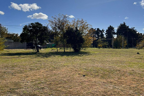 Lotes En Venta Calle 42 Y 149, San Carlos I Barrio Liquidámbar