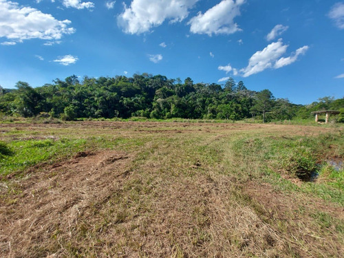 Imagem 21 de 30 de 03o-terreno A Venda Em Igarata